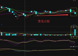 博通股份 600455